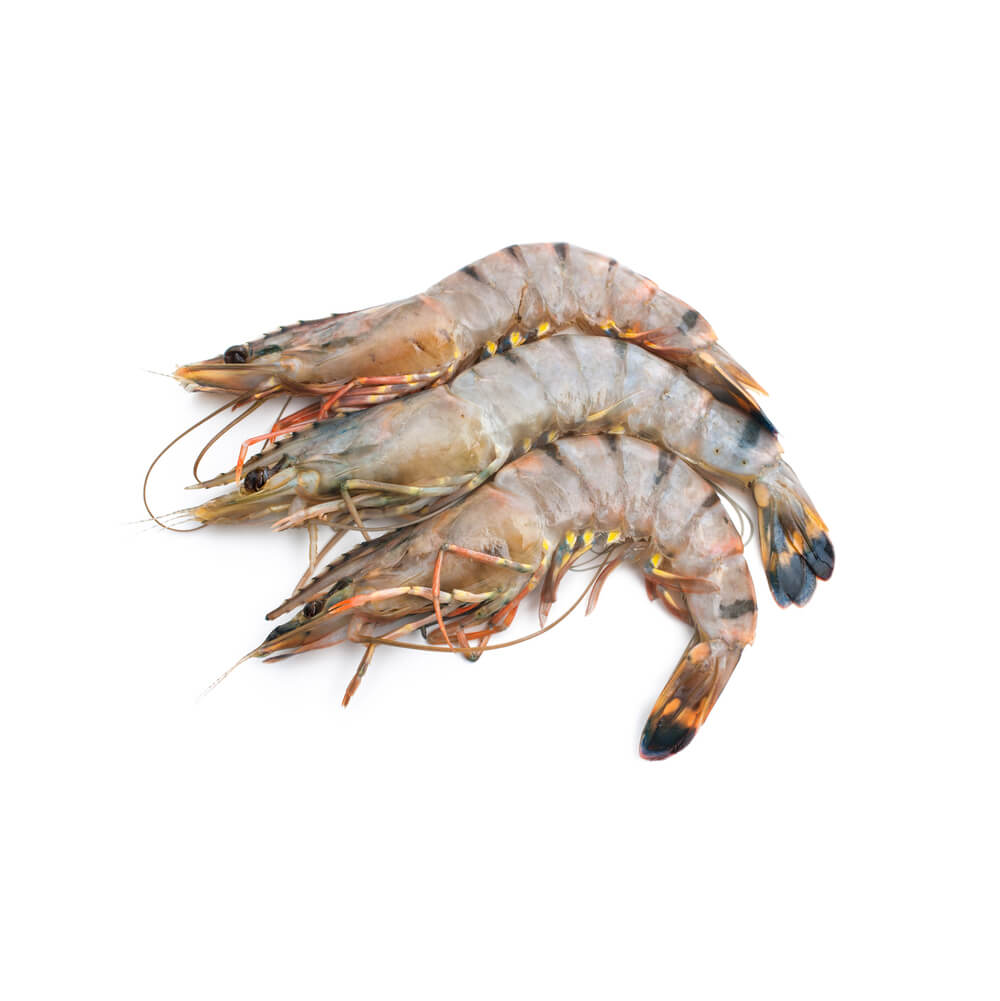 Caviale Freshly Frozen Qazaz Shrimp - Head on Shell on 500gm - Image 2