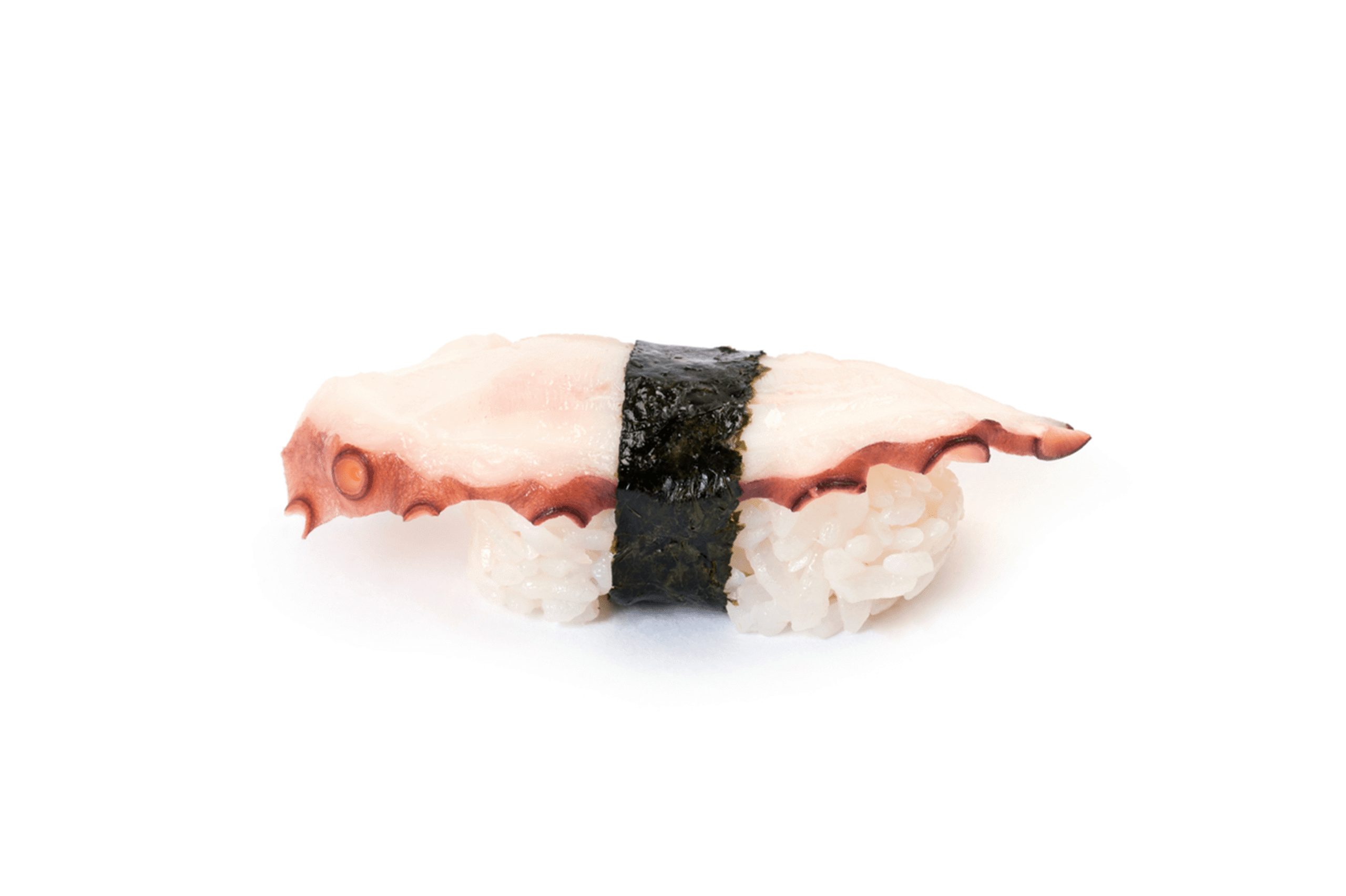 Nigiri Octopus