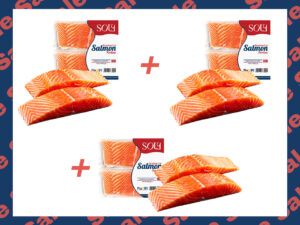 salmon portion