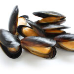 mussels