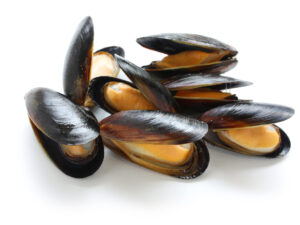 mussels