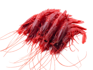 Caviale Rosso Shrimp - Red Shrimp 500gm
