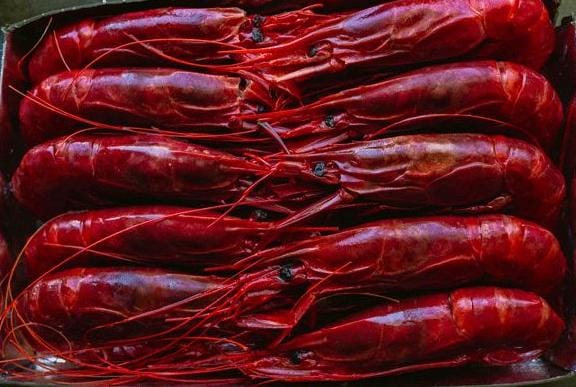Caviale Rosso Shrimp - Red Shrimp 500gm - Image 3