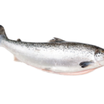 Caviale Whole Salmon Fish (Frozen)