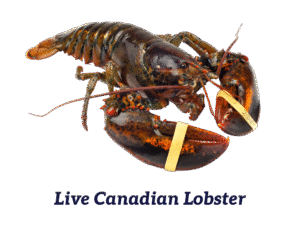Caviale Canadian LIVE Lobster 700-800gm