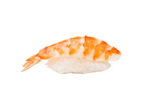 Nigiri Shrimp
