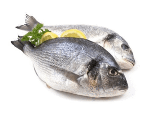 Freshly frozen Gilt Head Bream Fish (Denise Fish)